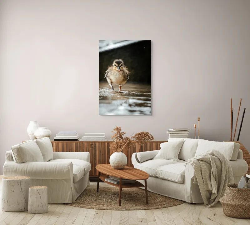 Tablou Canvas, "Rățușca pe drumul umed al vieții", Pui, Rață, Apă, Mers, Blană, Pene, Ochisori, Drăgălaș, Primăvară, Mic, Natură, Umede, Piciorușe, Reflecție, Sclipire, 70 x 100 cm – poza 4