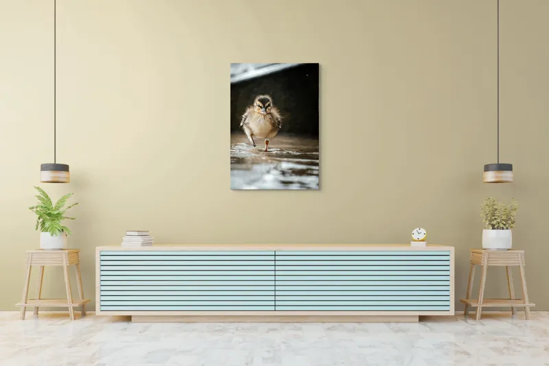 Tablou Canvas, "Rățușca pe drumul umed al vieții", Pui, Rață, Apă, Mers, Blană, Pene, Ochisori, Drăgălaș, Primăvară, Mic, Natură, Umede, Piciorușe, Reflecție, Sclipire, 70 x 100 cm – poza 5