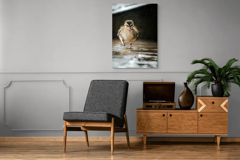 Tablou Canvas, "Rățușca pe drumul umed al vieții", Pui, Rață, Apă, Mers, Blană, Pene, Ochisori, Drăgălaș, Primăvară, Mic, Natură, Umede, Piciorușe, Reflecție, Sclipire, 70 x 100 cm – poza 6