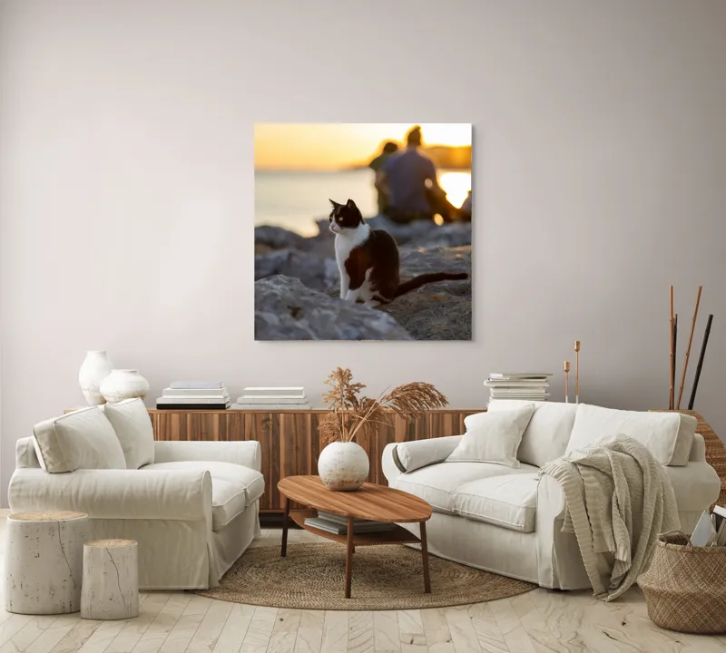 Tablou Canvas, "Pisica la apus pe malul mării", Pisică, Apus, Stânci, Siluetă, Natură, Lumină, Relaxare, 100 x 100 cm – poza 3