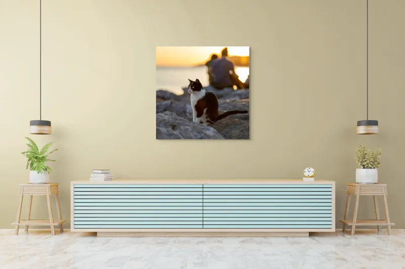 Tablou Canvas, "Pisica la apus pe malul mării", Pisică, Apus, Stânci, Siluetă, Natură, Lumină, Relaxare, 100 x 100 cm – poza 5