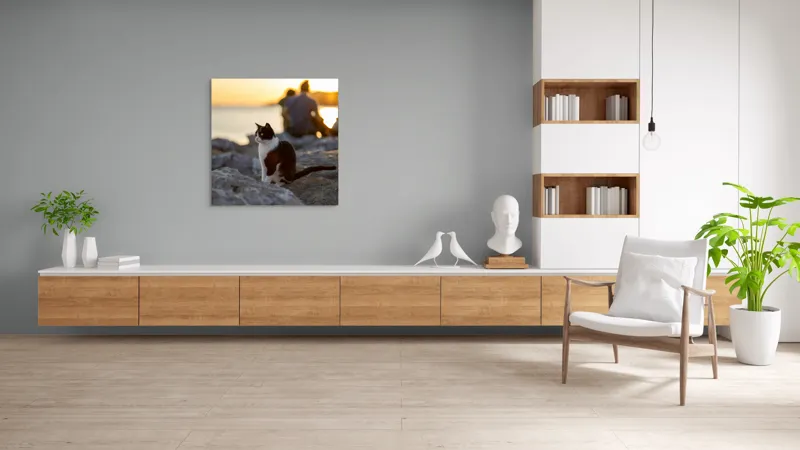 Tablou Canvas, "Pisica la apus pe malul mării", Pisică, Apus, Stânci, Siluetă, Natură, Lumină, Relaxare, 100 x 100 cm – poza 8