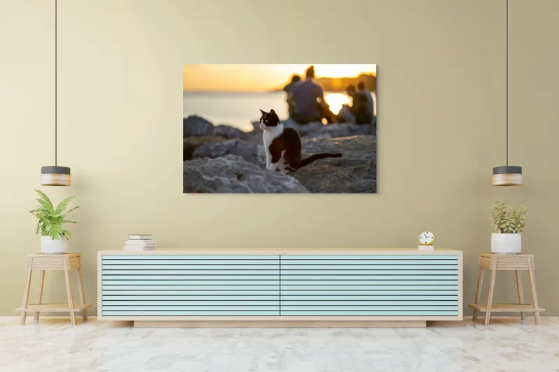 Tablou Canvas, "Pisica la apus pe malul mării", Pisică, Apus, Stânci, Siluetă, Natură, Lumină, Relaxare, 150 x 100 cm – poza 6