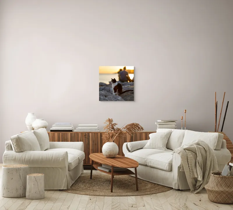 Tablou Canvas, "Pisica la apus pe malul mării", Pisică, Apus, Stânci, Siluetă, Natură, Lumină, Relaxare, 50 x 50 cm – poza 7