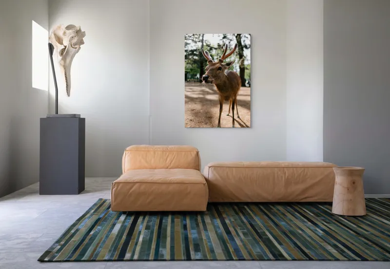 Tablou Canvas, "Misteriosul cerb în lumina pădurii", Cerb, Pădure, Soare, Iluminare, Coarne, Natură, Frunze, Umbră, Libertate, Privire, 70 x 100 cm – poza 7
