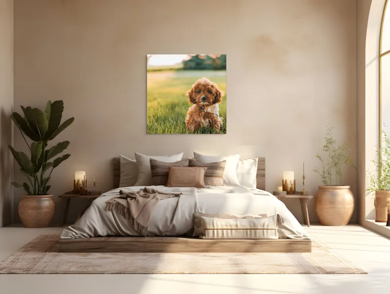 Tablou Canvas, "Pui de cățel în iarba deasă", Blănuri, Adorabil, Câmp, Apus, Relaxare, Prietenie, Natură, Jucăușenie, 100 x 100 cm – poza 4