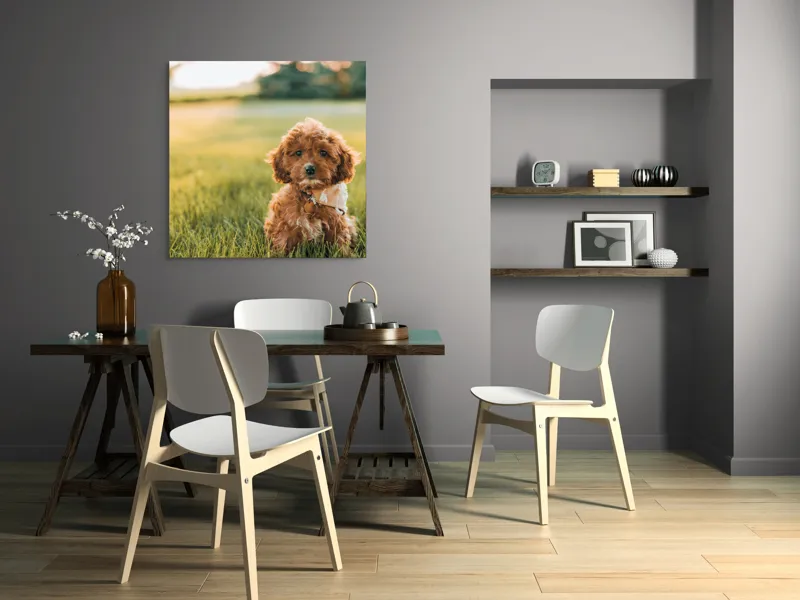 Tablou Canvas, "Pui de cățel în iarba deasă", Blănuri, Adorabil, Câmp, Apus, Relaxare, Prietenie, Natură, Jucăușenie, 100 x 100 cm – poza 6