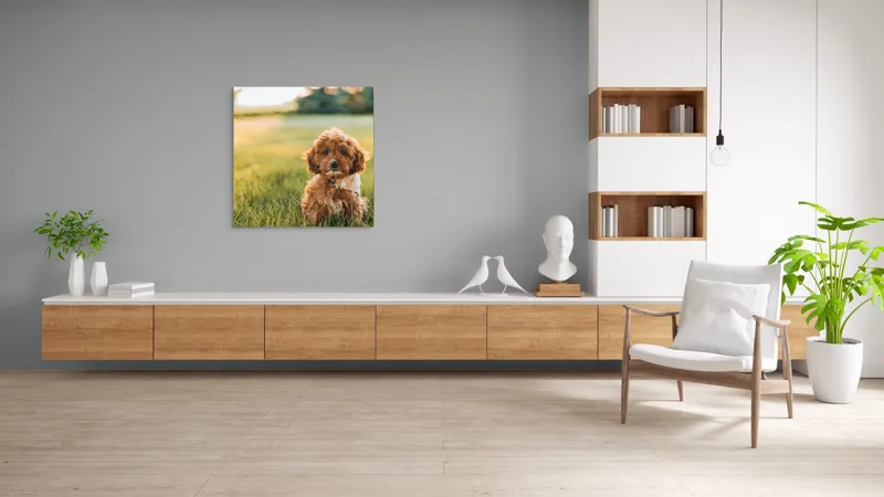 Tablou Canvas, "Pui de cățel în iarba deasă", Blănuri, Adorabil, Câmp, Apus, Relaxare, Prietenie, Natură, Jucăușenie, 100 x 100 cm – poza 8