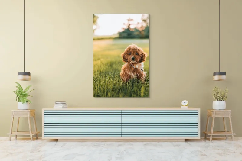 Tablou Canvas, "Pui de cățel în iarba deasă", Blănuri, Adorabil, Câmp, Apus, Relaxare, Prietenie, Natură, Jucăușenie, 100 x 150 cm – poza 4