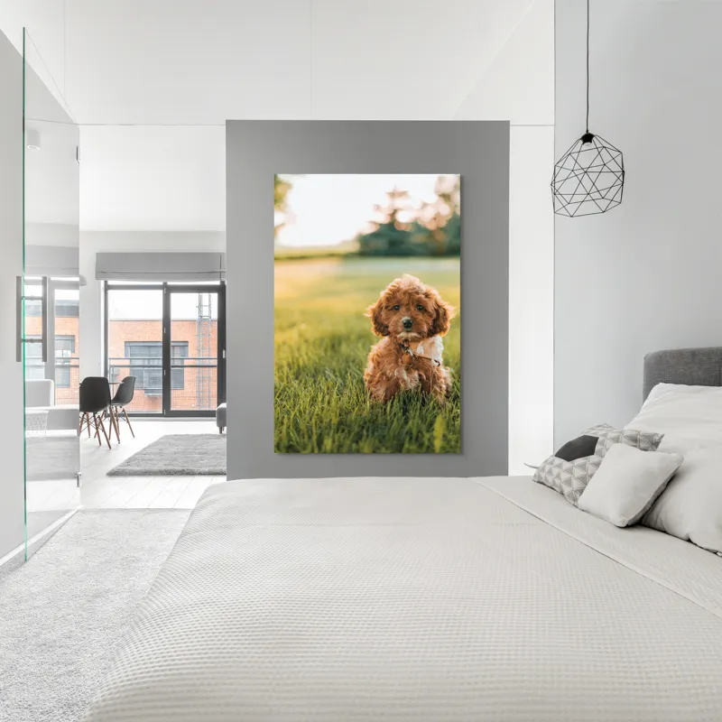 Tablou Canvas, "Pui de cățel în iarba deasă", Blănuri, Adorabil, Câmp, Apus, Relaxare, Prietenie, Natură, Jucăușenie, 100 x 150 cm – poza 5