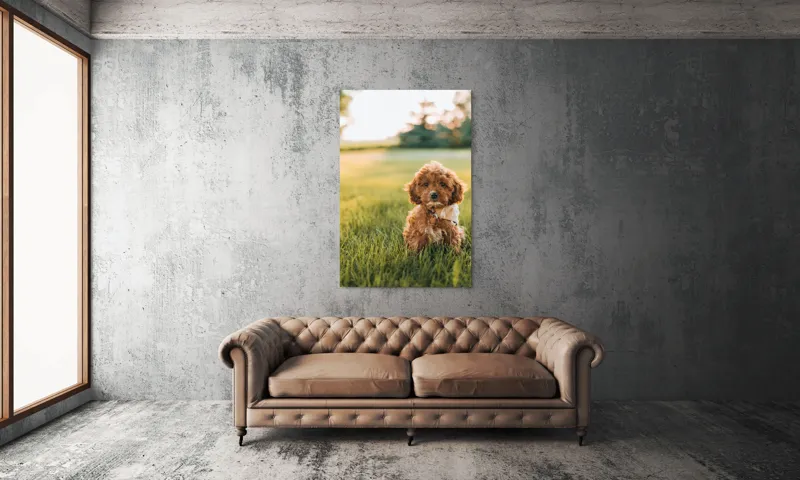 Tablou Canvas, "Pui de cățel în iarba deasă", Blănuri, Adorabil, Câmp, Apus, Relaxare, Prietenie, Natură, Jucăușenie, 100 x 150 cm – poza 6