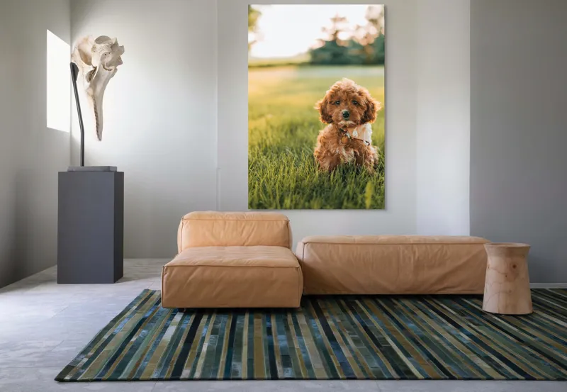 Tablou Canvas, "Pui de cățel în iarba deasă", Blănuri, Adorabil, Câmp, Apus, Relaxare, Prietenie, Natură, Jucăușenie, 100 x 150 cm – poza 7
