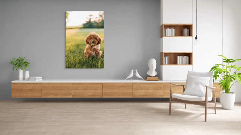 Tablou Canvas, "Pui de cățel în iarba deasă", Blănuri, Adorabil, Câmp, Apus, Relaxare, Prietenie, Natură, Jucăușenie, 100 x 150 cm – poza 8