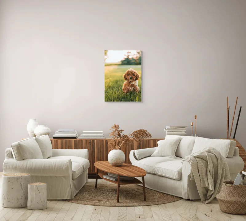 Tablou Canvas, "Pui de cățel în iarba deasă", Blănuri, Adorabil, Câmp, Apus, Relaxare, Prietenie, Natură, Jucăușenie, 50 x 70 cm – poza 4