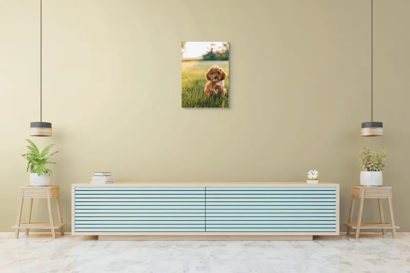 Tablou Canvas, "Pui de cățel în iarba deasă", Blănuri, Adorabil, Câmp, Apus, Relaxare, Prietenie, Natură, Jucăușenie, 50 x 70 cm – poza 6