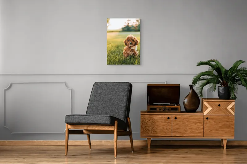Tablou Canvas, "Pui de cățel în iarba deasă", Blănuri, Adorabil, Câmp, Apus, Relaxare, Prietenie, Natură, Jucăușenie, 50 x 70 cm – poza 8