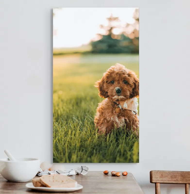 Tablou Canvas, "Pui de cățel în iarba deasă", Blănuri, Adorabil, Câmp, Apus, Relaxare, Prietenie, Natură, Jucăușenie, 50 x 90 cm – poza 3