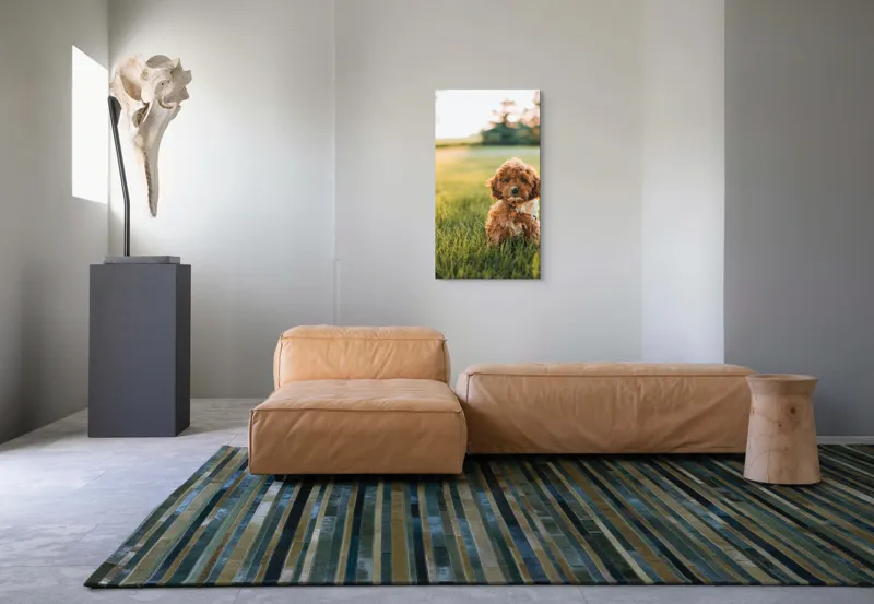 Tablou Canvas, "Pui de cățel în iarba deasă", Blănuri, Adorabil, Câmp, Apus, Relaxare, Prietenie, Natură, Jucăușenie, 50 x 90 cm – poza 5