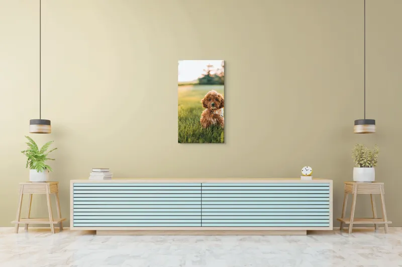 Tablou Canvas, "Pui de cățel în iarba deasă", Blănuri, Adorabil, Câmp, Apus, Relaxare, Prietenie, Natură, Jucăușenie, 50 x 90 cm – poza 6