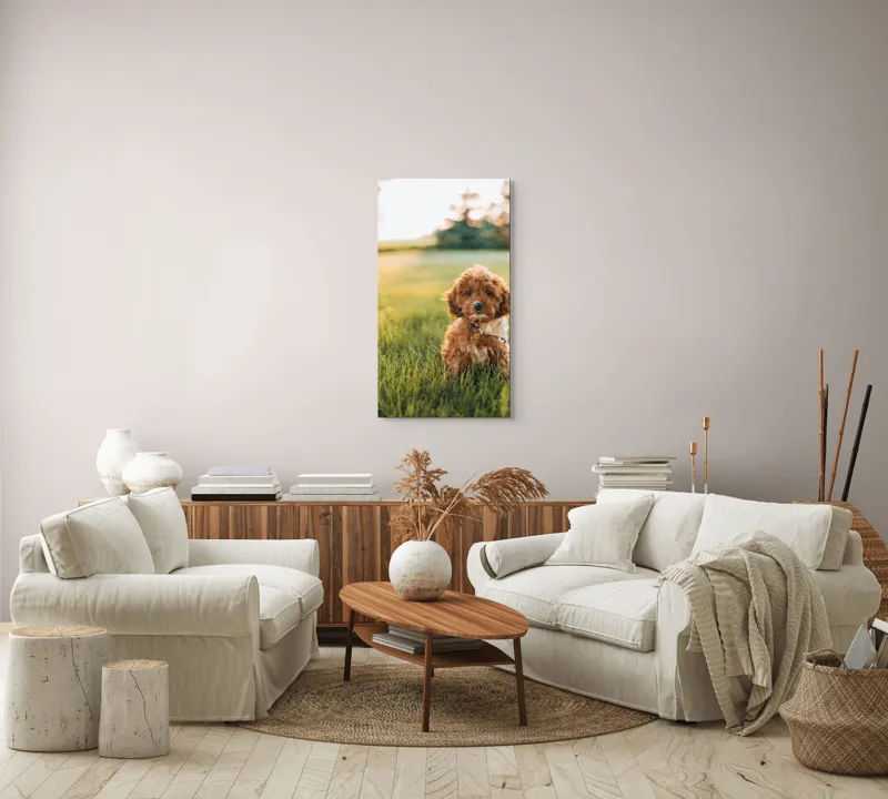 Tablou Canvas, "Pui de cățel în iarba deasă", Blănuri, Adorabil, Câmp, Apus, Relaxare, Prietenie, Natură, Jucăușenie, 50 x 90 cm – poza 7