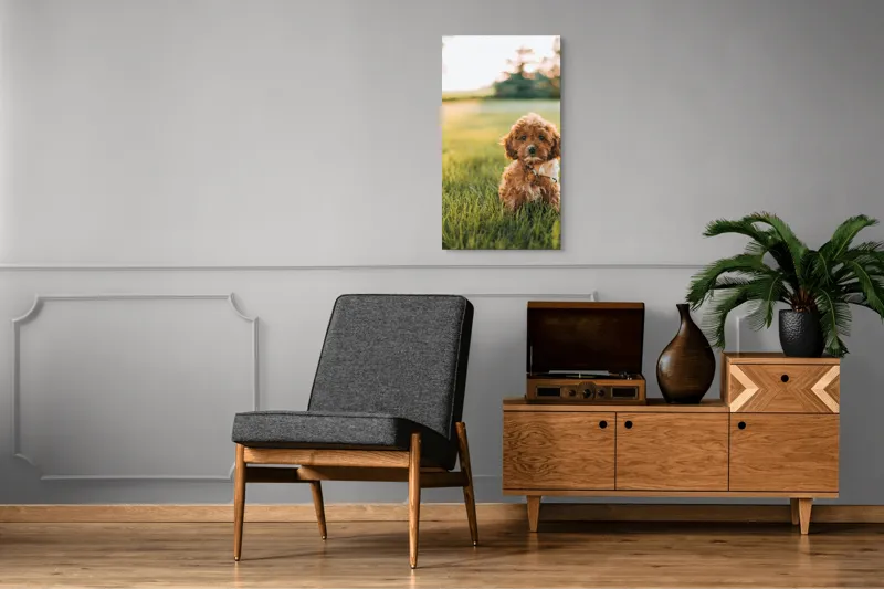 Tablou Canvas, "Pui de cățel în iarba deasă", Blănuri, Adorabil, Câmp, Apus, Relaxare, Prietenie, Natură, Jucăușenie, 50 x 90 cm – poza 8