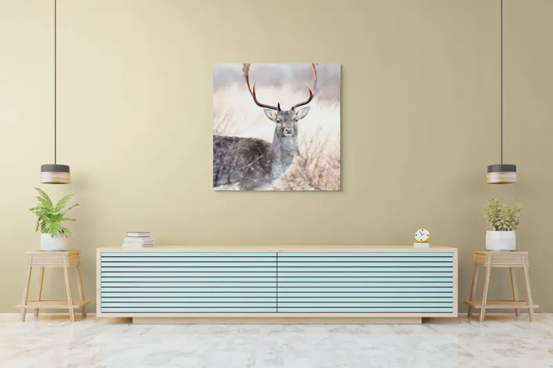 Tablou Canvas, "Cerbul solitar în lumina dimineții", Cerb, Majestic, Antlers, Natură, Frumusețe, Sălbatic, Peisaj, Eleganță, 100 x 100 cm – poza 5