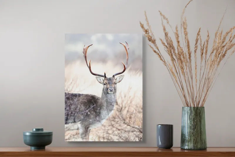 Tablou Canvas, "Cerbul solitar în lumina dimineții", Cerb, Majestic, Antlers, Natură, Frumusețe, Sălbatic, Peisaj, Eleganță, 39 x 54 cm – poza 3