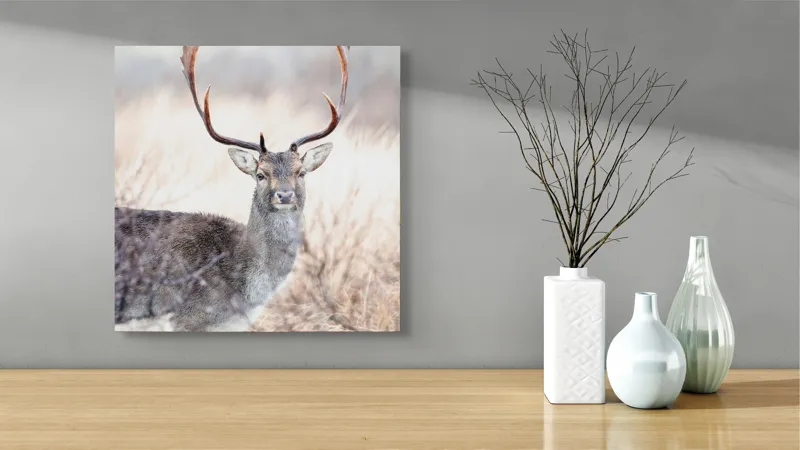Tablou Canvas, "Cerbul solitar în lumina dimineții", Cerb, Majestic, Antlers, Natură, Frumusețe, Sălbatic, Peisaj, Eleganță, 50 x 50 cm – poza 3