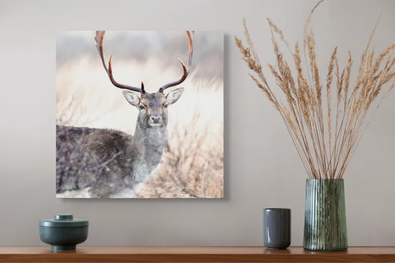 Tablou Canvas, "Cerbul solitar în lumina dimineții", Cerb, Majestic, Antlers, Natură, Frumusețe, Sălbatic, Peisaj, Eleganță, 50 x 50 cm – poza 4