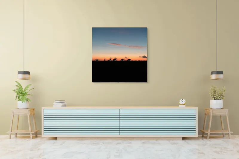 Tablou Canvas, "Turma de vite la apus", Silhouette, Apus, Nori, Pășune, Vaci, Cer, Lumină, Linie, Peisaj, Crepuscul, 100 x 100 cm – poza 5