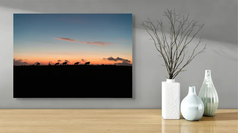 Tablou Canvas, "Turma de vite la apus", Silhouette, Apus, Nori, Pășune, Vaci, Cer, Lumină, Linie, Peisaj, Crepuscul, 70 x 50 cm – poza 3