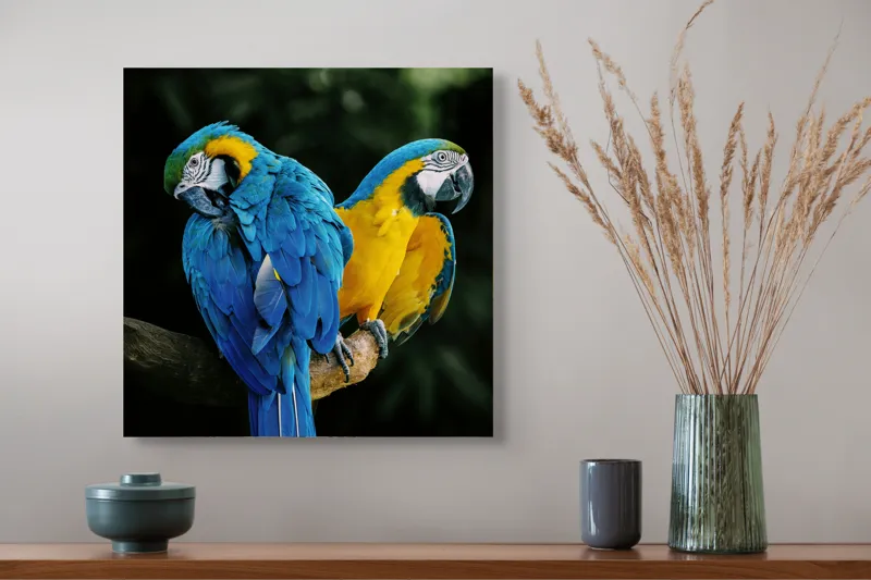 Tablou Canvas, "Papagalii în culorile prieteniei vii", Pene, Papagali, Culori, Tropical, Frunze, 50 x 50 cm – poza 4