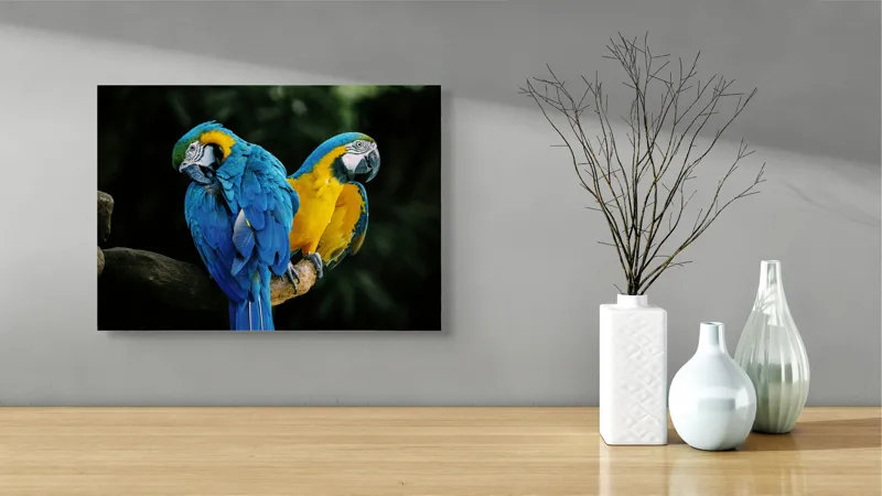Tablou Canvas, "Papagalii în culorile prieteniei vii", Pene, Papagali, Culori, Tropical, Frunze, 54 x 39 cm – poza 3