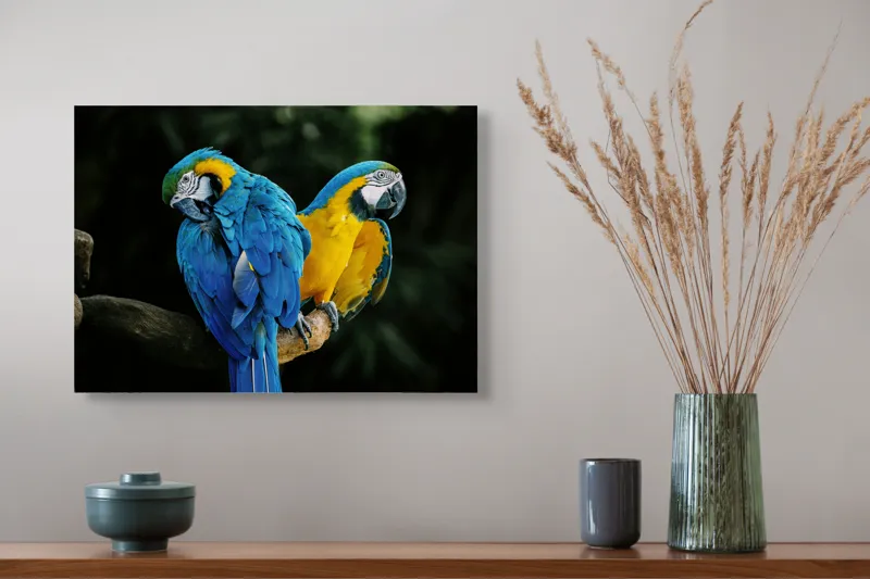 Tablou Canvas, "Papagalii în culorile prieteniei vii", Pene, Papagali, Culori, Tropical, Frunze, 54 x 39 cm – poza 4