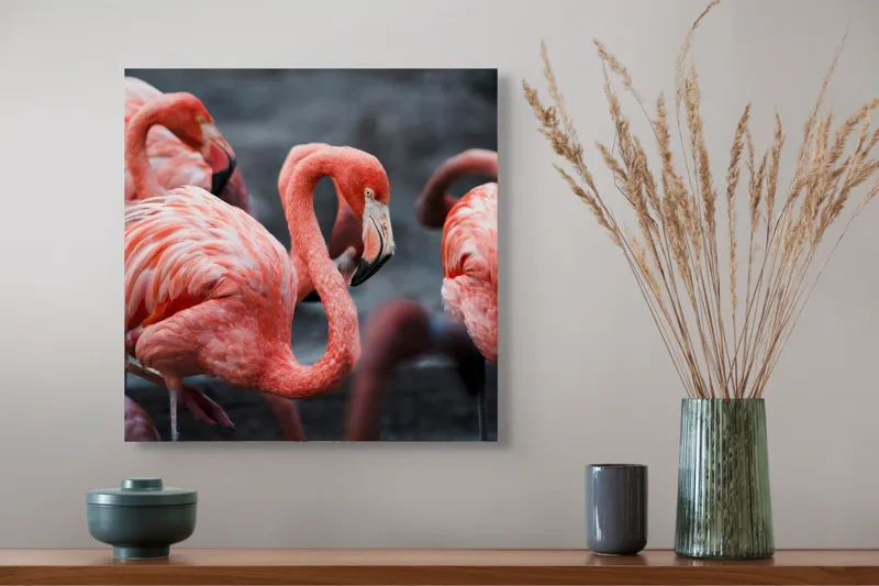 Tablou Canvas, "Flamingo grațiosi în dansul dimineții", Grație, Eleganță, Roz, Pene, Flamingo, Natură, Calm, Frumusețe, Armonie, Culoare, 50 x 50 cm – poza 4
