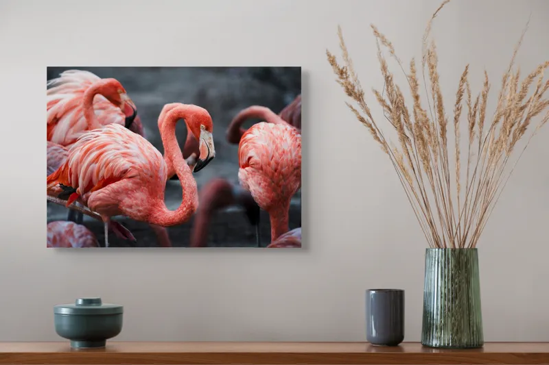 Tablou Canvas, "Flamingo grațiosi în dansul dimineții", Grație, Eleganță, Roz, Pene, Flamingo, Natură, Calm, Frumusețe, Armonie, Culoare, 54 x 39 cm – poza 4