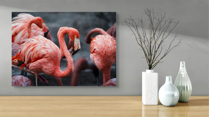 Tablou Canvas, "Flamingo grațiosi în dansul dimineții", Grație, Eleganță, Roz, Pene, Flamingo, Natură, Calm, Frumusețe, Armonie, Culoare, 70 x 50 cm – poza 3