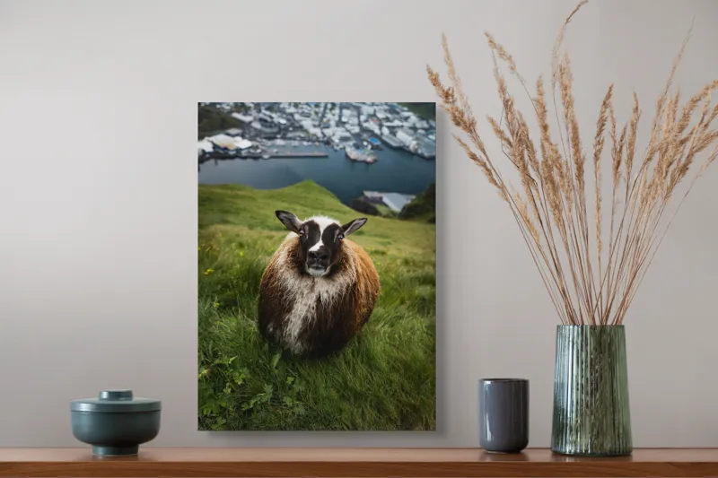 Tablou Canvas, "Peisaj idilic cu oaie curioasă", Nu știu cine este în imagine., 39 x 54 cm – poza 3
