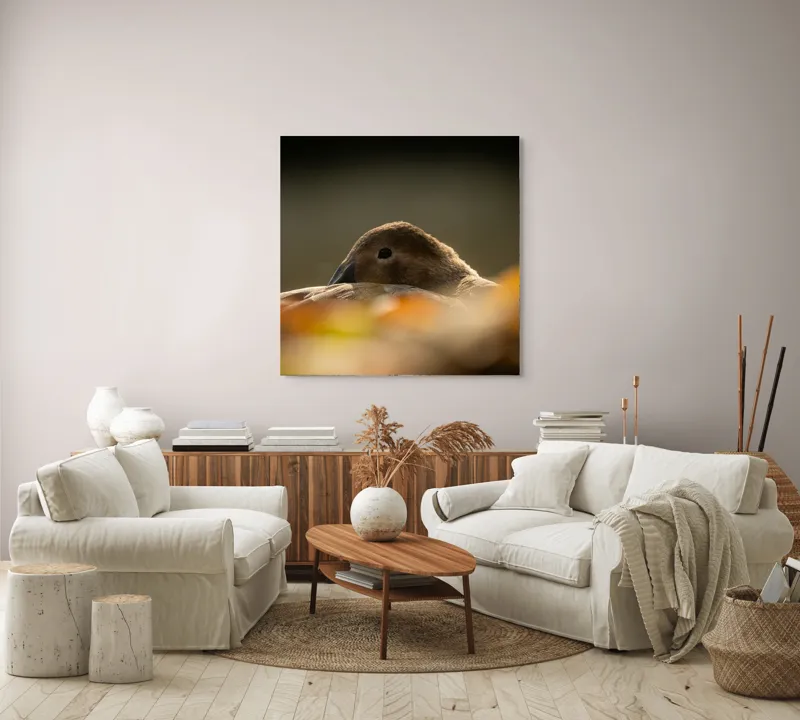 Tablou Canvas, "Vis de toamnă al raței somnoroase", Rață, Odihnă, Auriu, Umbră, Toamnă, Calm, Lumină, Natură, 100 x 100 cm – poza 3