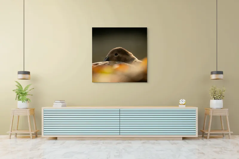 Tablou Canvas, "Vis de toamnă al raței somnoroase", Rață, Odihnă, Auriu, Umbră, Toamnă, Calm, Lumină, Natură, 100 x 100 cm – poza 5