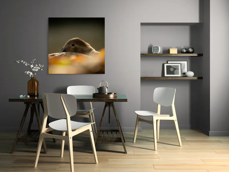 Tablou Canvas, "Vis de toamnă al raței somnoroase", Rață, Odihnă, Auriu, Umbră, Toamnă, Calm, Lumină, Natură, 100 x 100 cm – poza 6