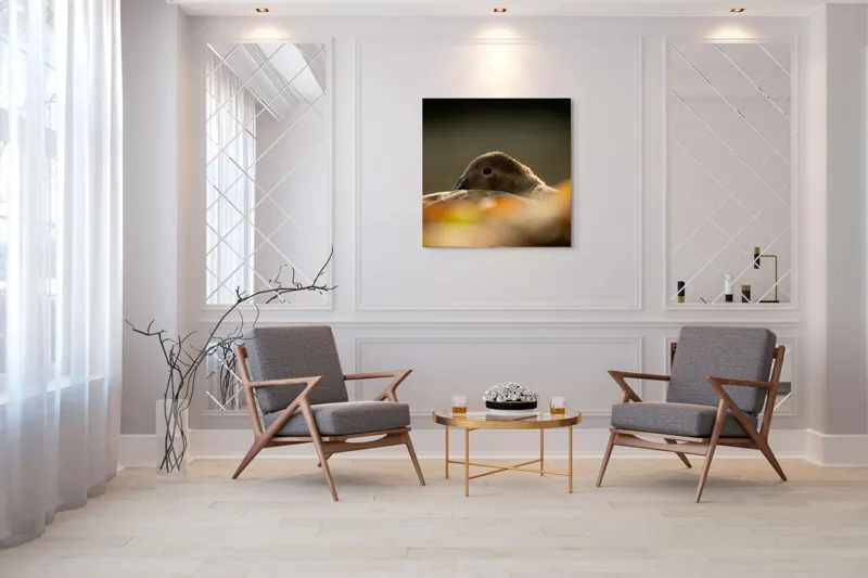 Tablou Canvas, "Vis de toamnă al raței somnoroase", Rață, Odihnă, Auriu, Umbră, Toamnă, Calm, Lumină, Natură, 100 x 100 cm – poza 7