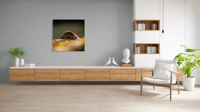 Tablou Canvas, "Vis de toamnă al raței somnoroase", Rață, Odihnă, Auriu, Umbră, Toamnă, Calm, Lumină, Natură, 100 x 100 cm – poza 8