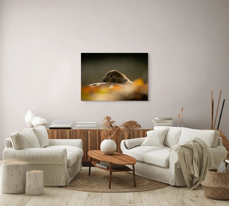 Tablou Canvas, "Vis de toamnă al raței somnoroase", Rață, Odihnă, Auriu, Umbră, Toamnă, Calm, Lumină, Natură, 100 x 70 cm – poza 3