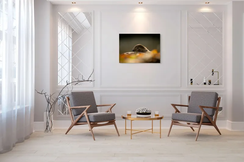 Tablou Canvas, "Vis de toamnă al raței somnoroase", Rață, Odihnă, Auriu, Umbră, Toamnă, Calm, Lumină, Natură, 100 x 70 cm – poza 5