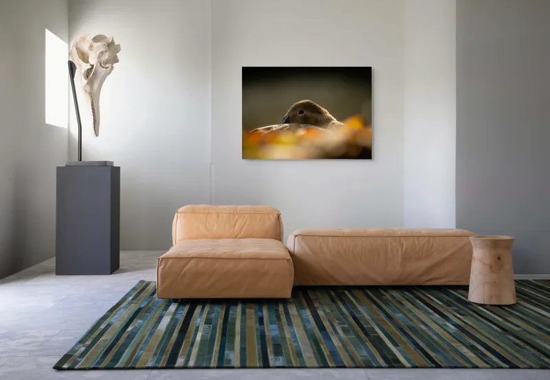 Tablou Canvas, "Vis de toamnă al raței somnoroase", Rață, Odihnă, Auriu, Umbră, Toamnă, Calm, Lumină, Natură, 100 x 70 cm – poza 7