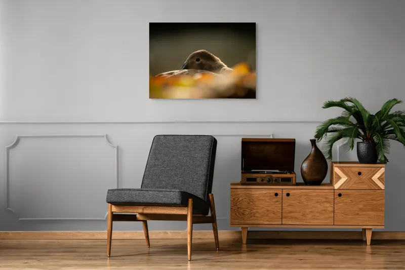 Tablou Canvas, "Vis de toamnă al raței somnoroase", Rață, Odihnă, Auriu, Umbră, Toamnă, Calm, Lumină, Natură, 100 x 70 cm – poza 8