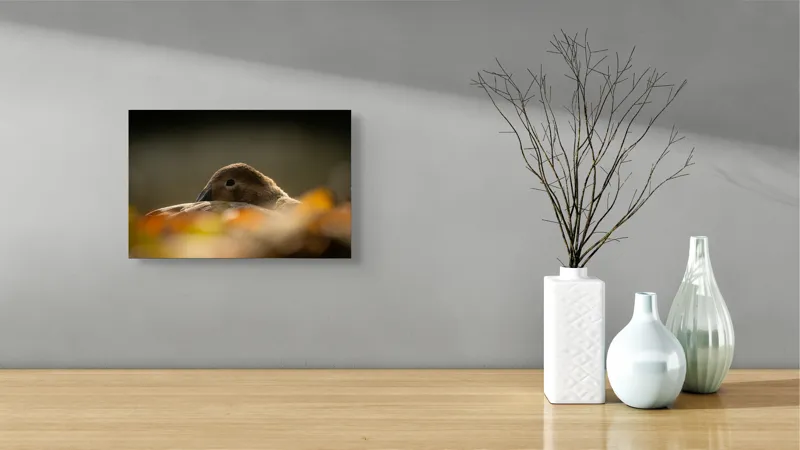 Tablou Canvas, "Vis de toamnă al raței somnoroase", Rață, Odihnă, Auriu, Umbră, Toamnă, Calm, Lumină, Natură, 39 x 26 cm – poza 8