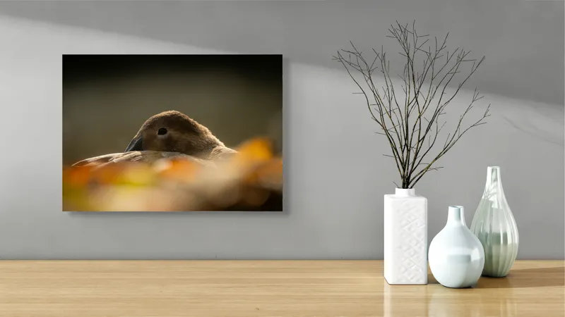 Tablou Canvas, "Vis de toamnă al raței somnoroase", Rață, Odihnă, Auriu, Umbră, Toamnă, Calm, Lumină, Natură, 54 x 39 cm – poza 3