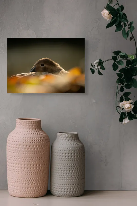 Tablou Canvas, "Vis de toamnă al raței somnoroase", Rață, Odihnă, Auriu, Umbră, Toamnă, Calm, Lumină, Natură, 54 x 39 cm – poza 8